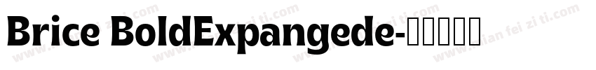 Brice BoldExpangede字体转换